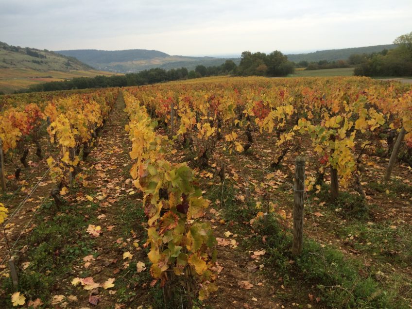 Bourgogne