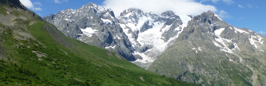 Suisse